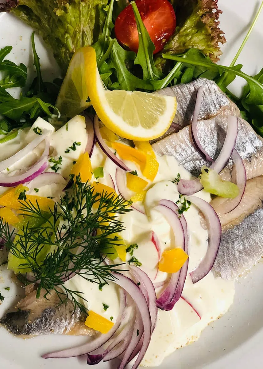 Matjesfilets in heller Sahnesauce mit roten Zwiebelringen, Dill, Zitrone und Blattsalat